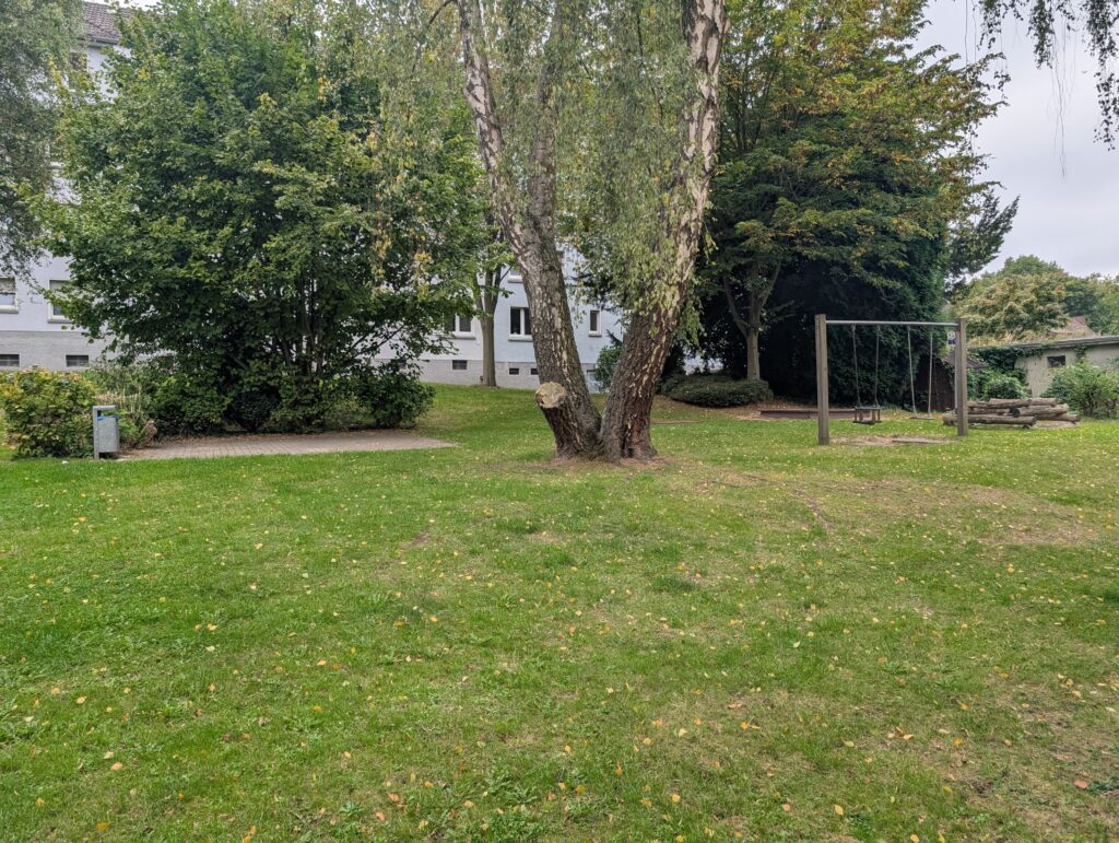 Grüne Wiese mit hölzerner Schaukel und großer Birke im Innenhof.